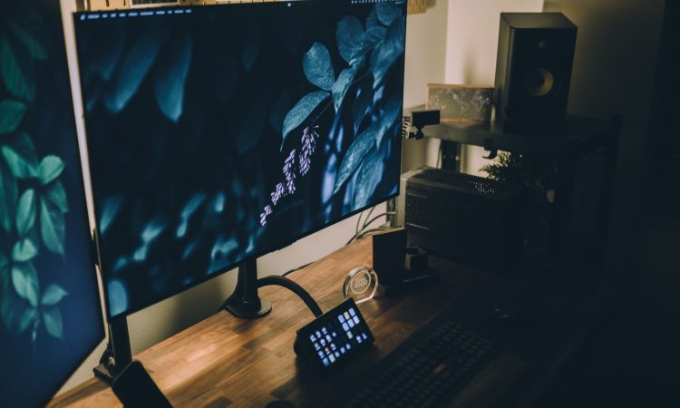 Foto: Pexels (19554896)